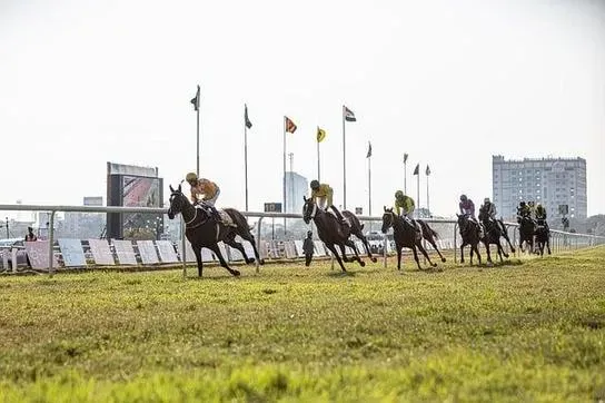 Antes do Tiro de Largada: Descubra os Preparativos de uma Corrida